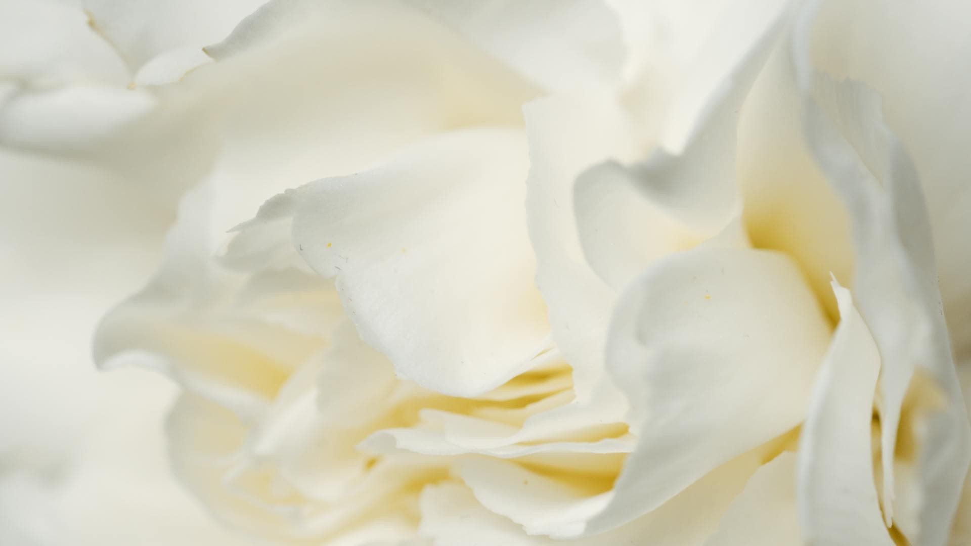 Aurora Atelier 1 cover